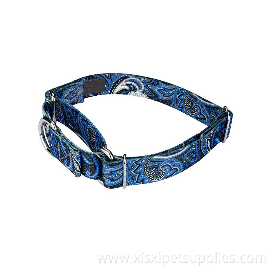 High quality Sublimation Printing Martingale Dog Collar with custom design